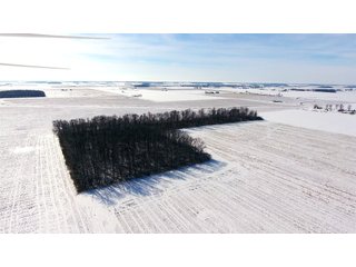 Property photo 24 - OHIO REAL ESTATE AUCTION - 202+/- ACRES IN 3 TRACTS IN VAN WERT COUNTY, OHIO